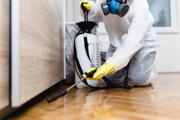 Best Emergency Pest Control  in Merrill, IA